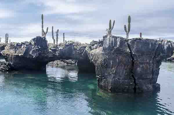 54 - Ecuador - islas Galapagos - isla Isabela - los Tuneles